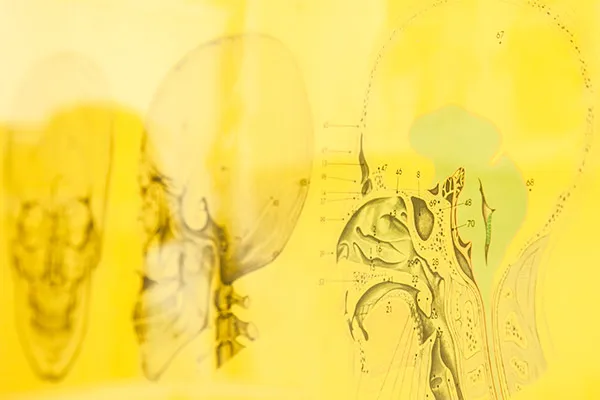 耳鼻咽喉科とは